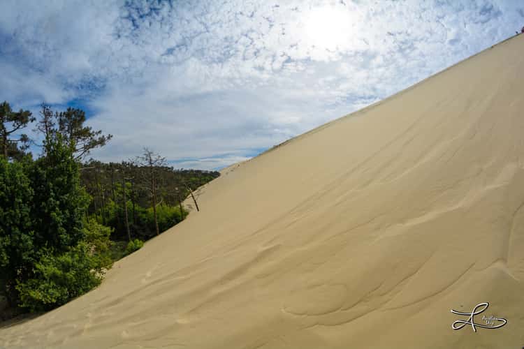 Dune du Pillat