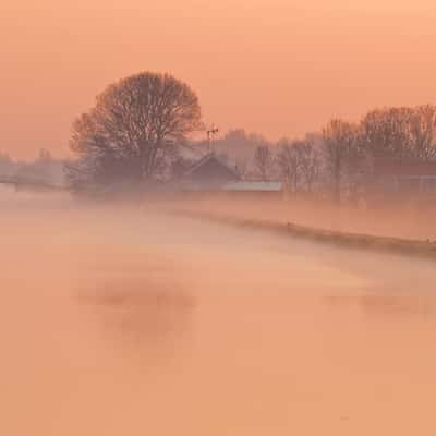 Dutch 'Polder' view (cultivated water / meadow), Netherlands