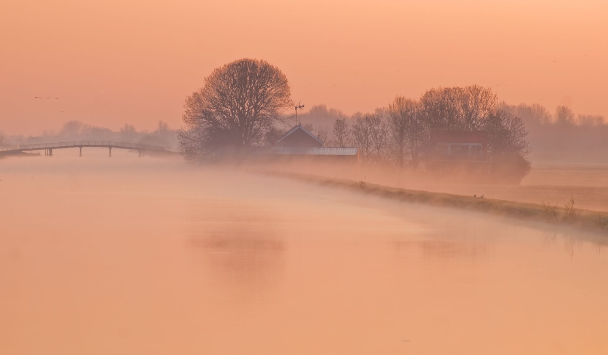 Dutch 'Polder' view (cultivated water / meadow), Netherlands