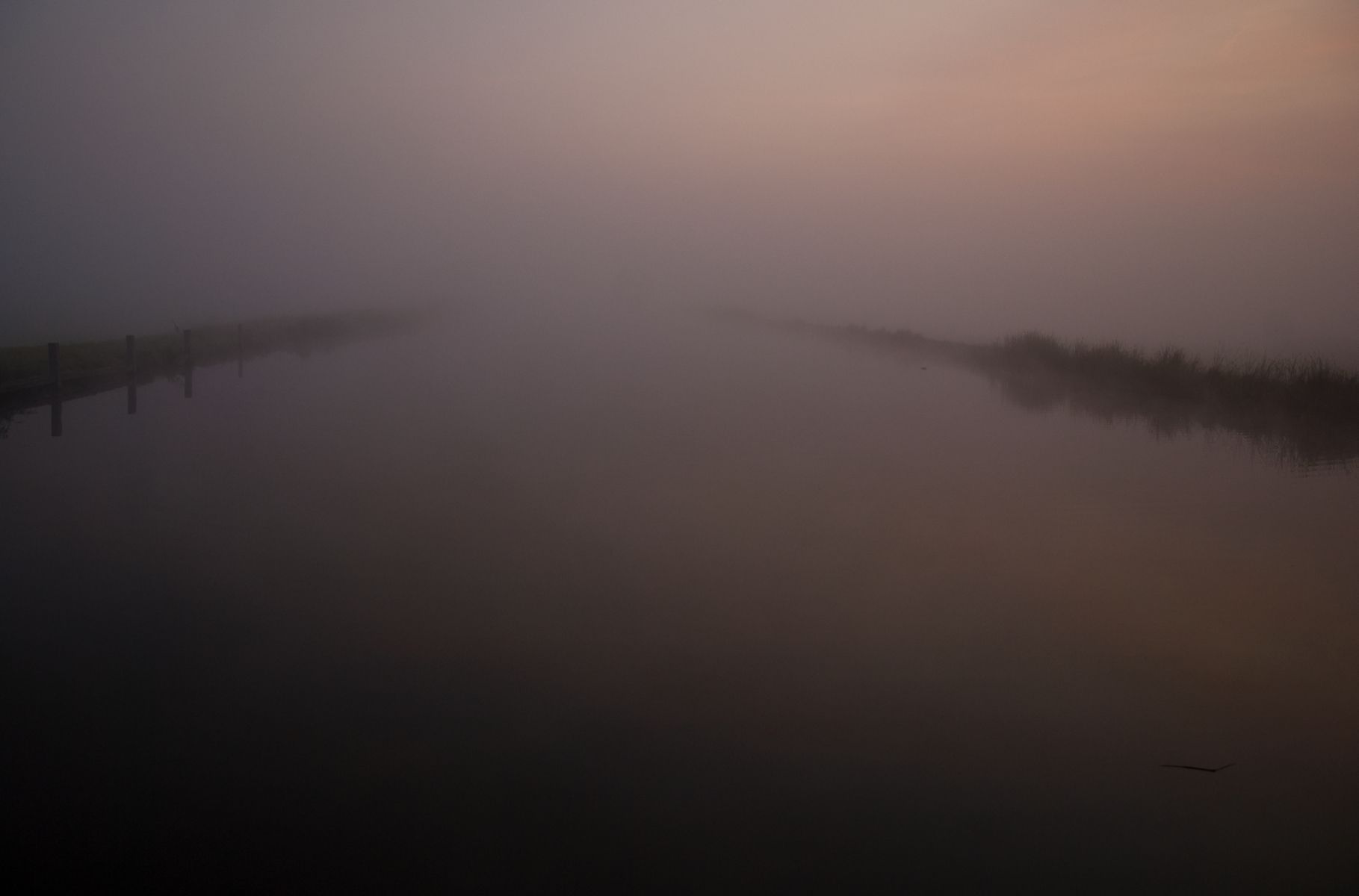 Dutch 'Polder' view (cultivated water / meadow), Netherlands