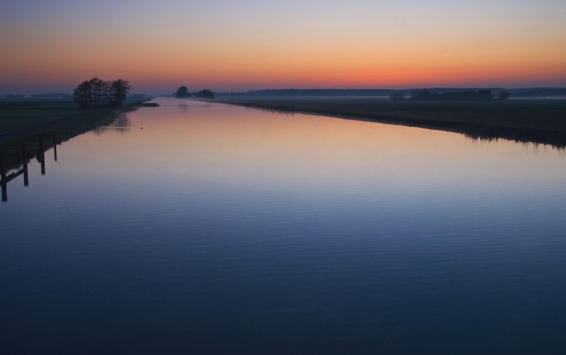 Dutch 'Polder' view (cultivated water / meadow), Netherlands