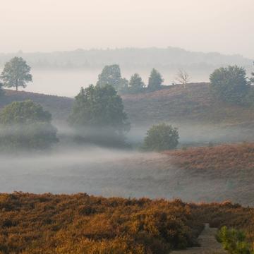 Early morning - fog location, Netherlands