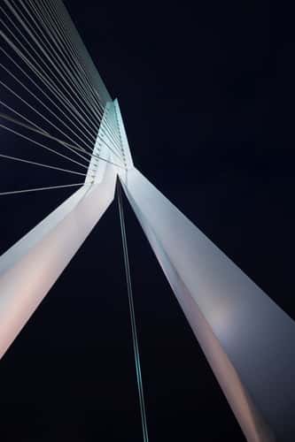 Erasmus Bridge / Erasmusbrug