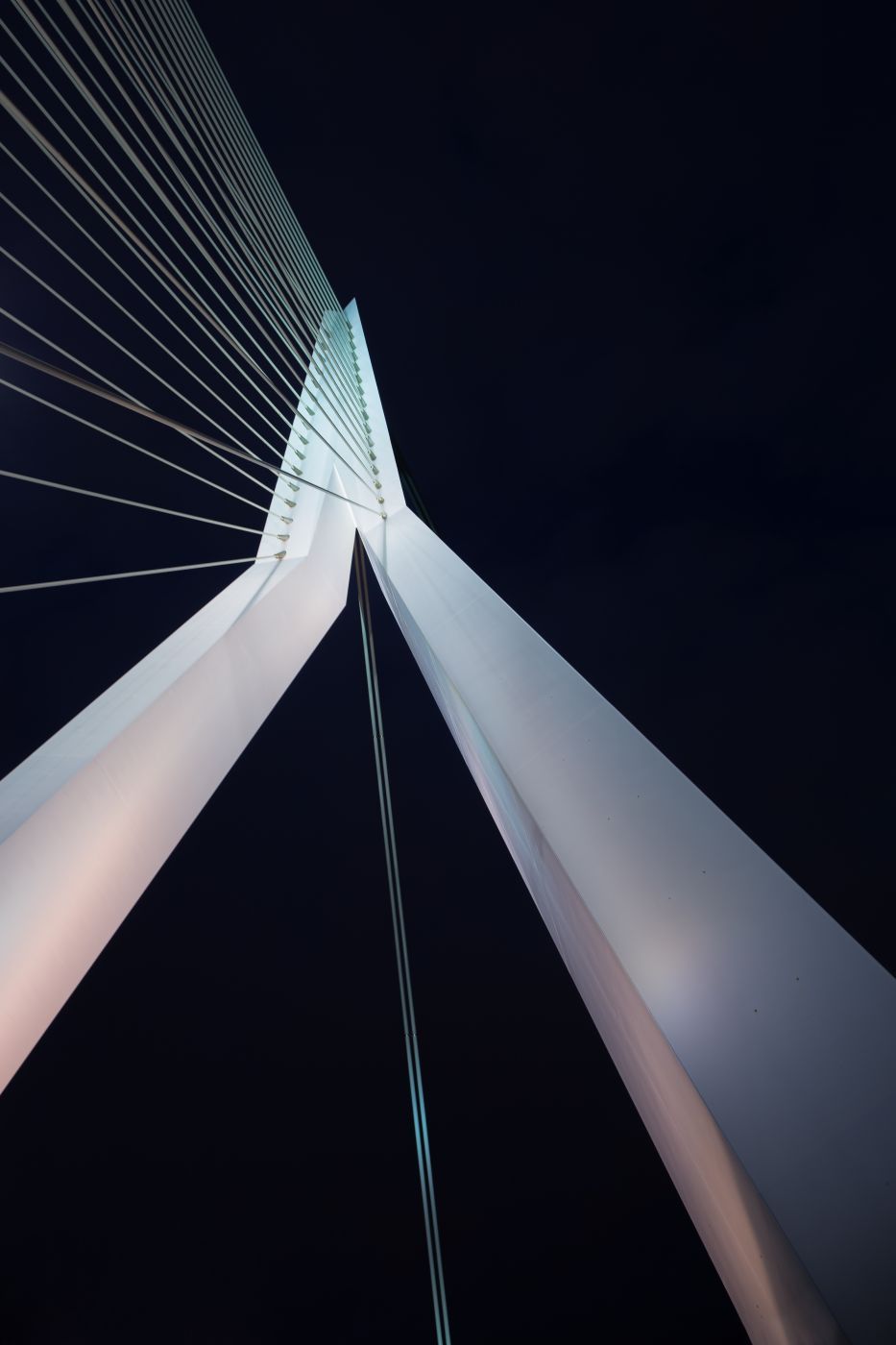 Erasmus Bridge / Erasmusbrug, Netherlands