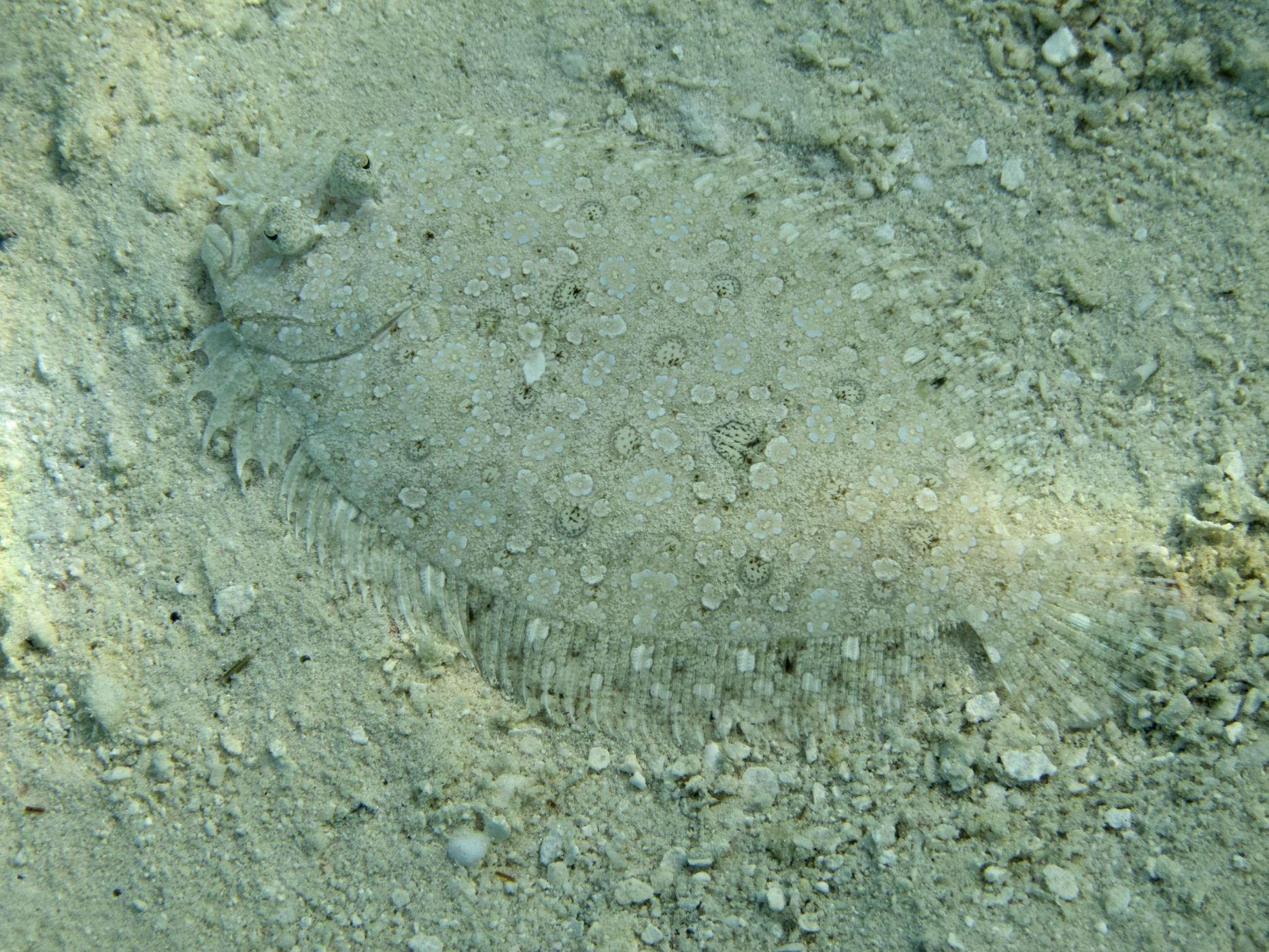 Eriyadu, Maldives