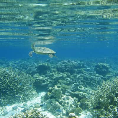 Eriyadu, Maldives
