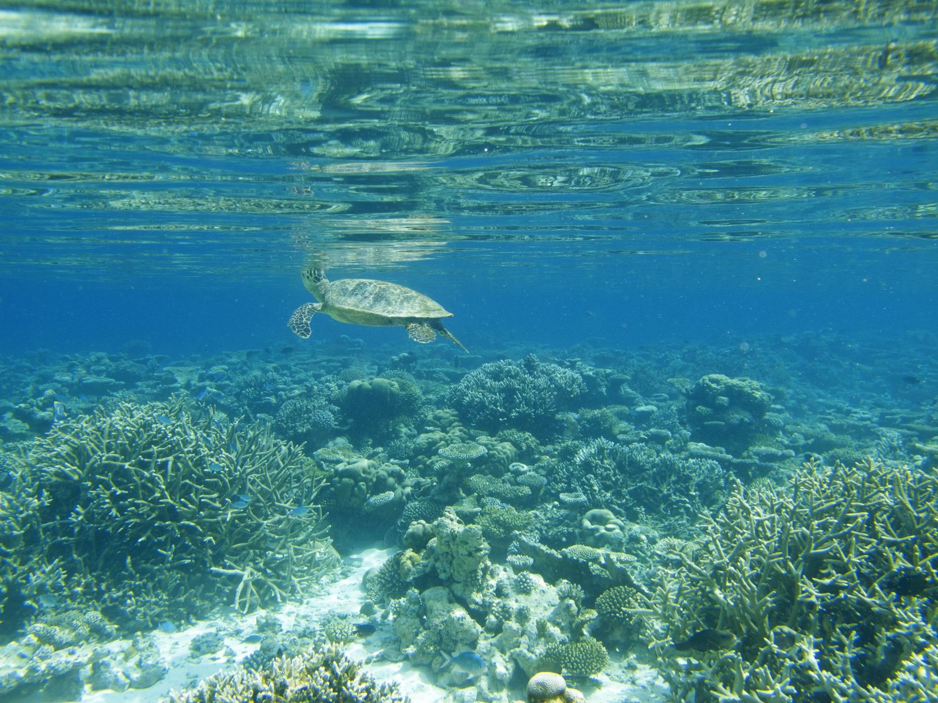 Eriyadu, Maldives