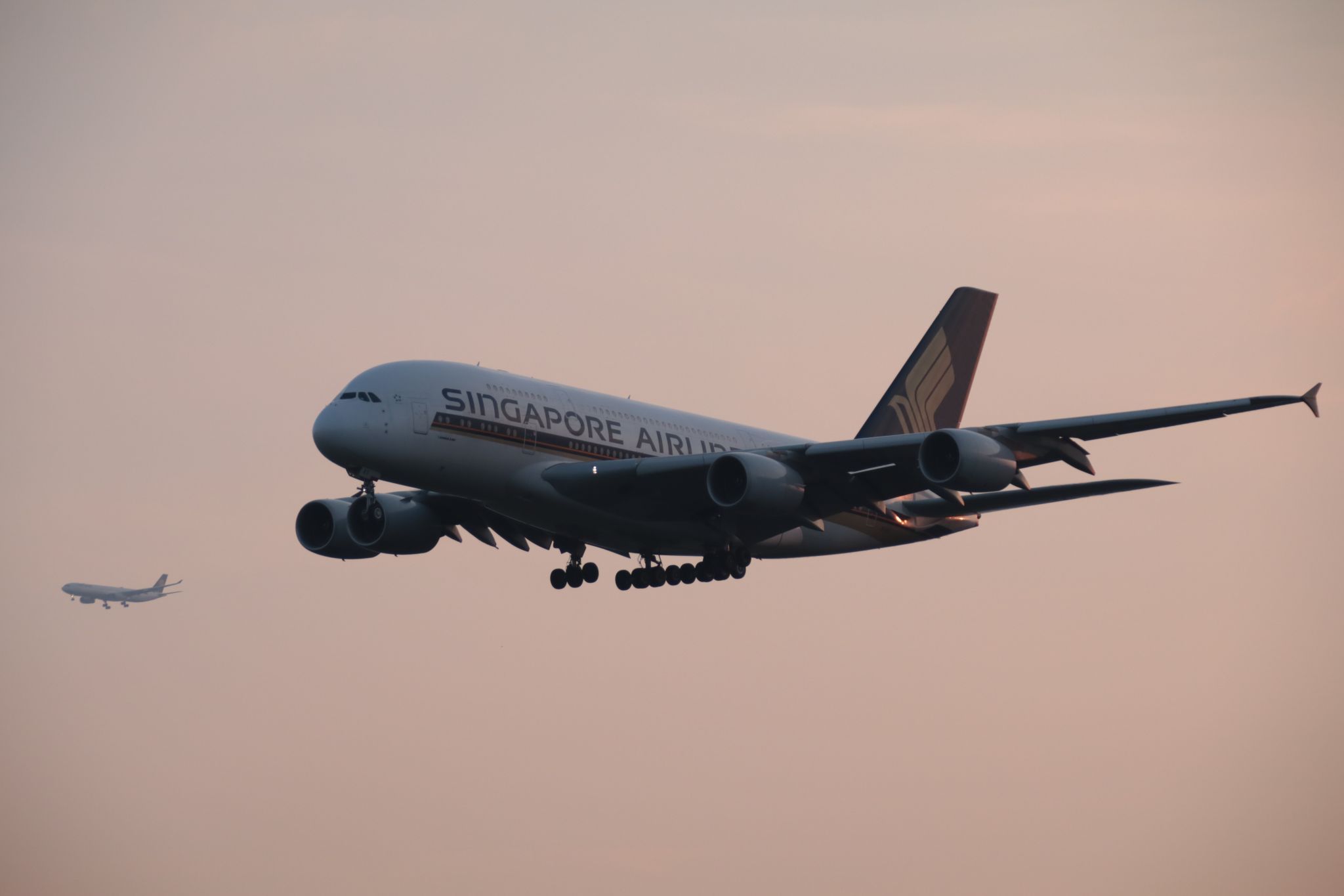 Frankfurt airport plane watching, Germany