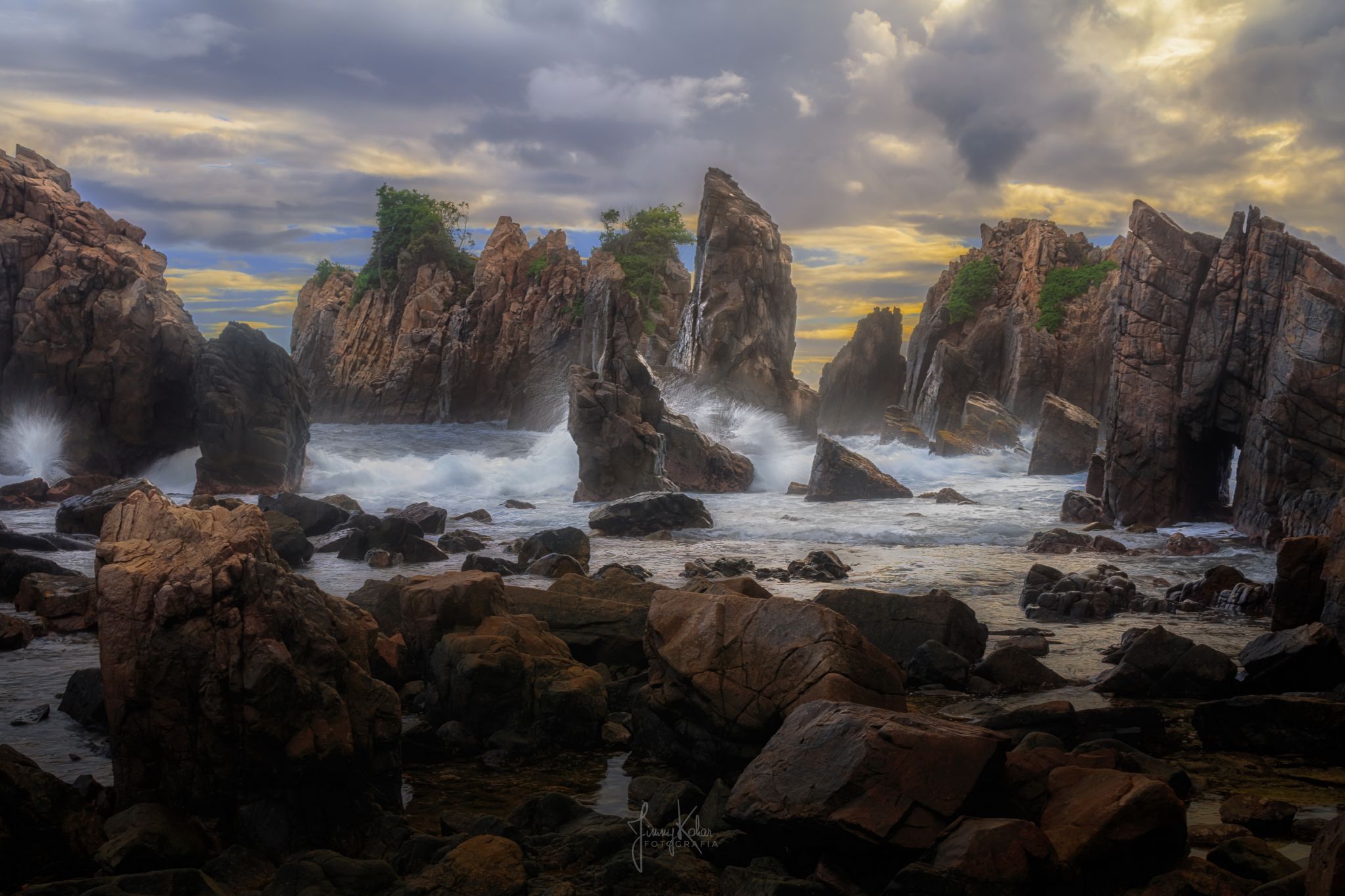 Gigi Hiu, Indonesia