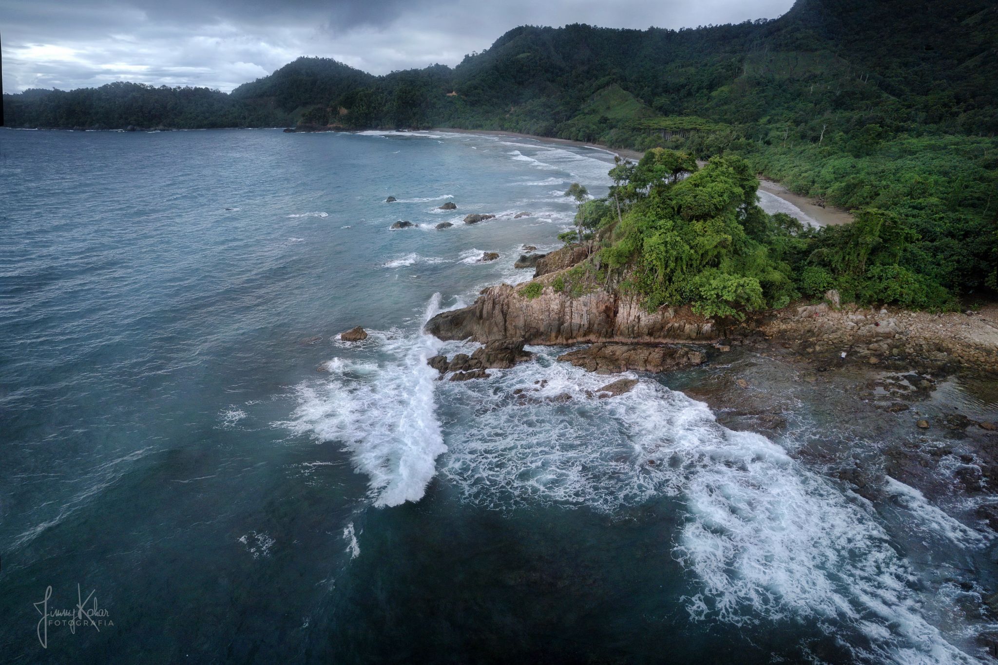 Gigi Hiu, Indonesia