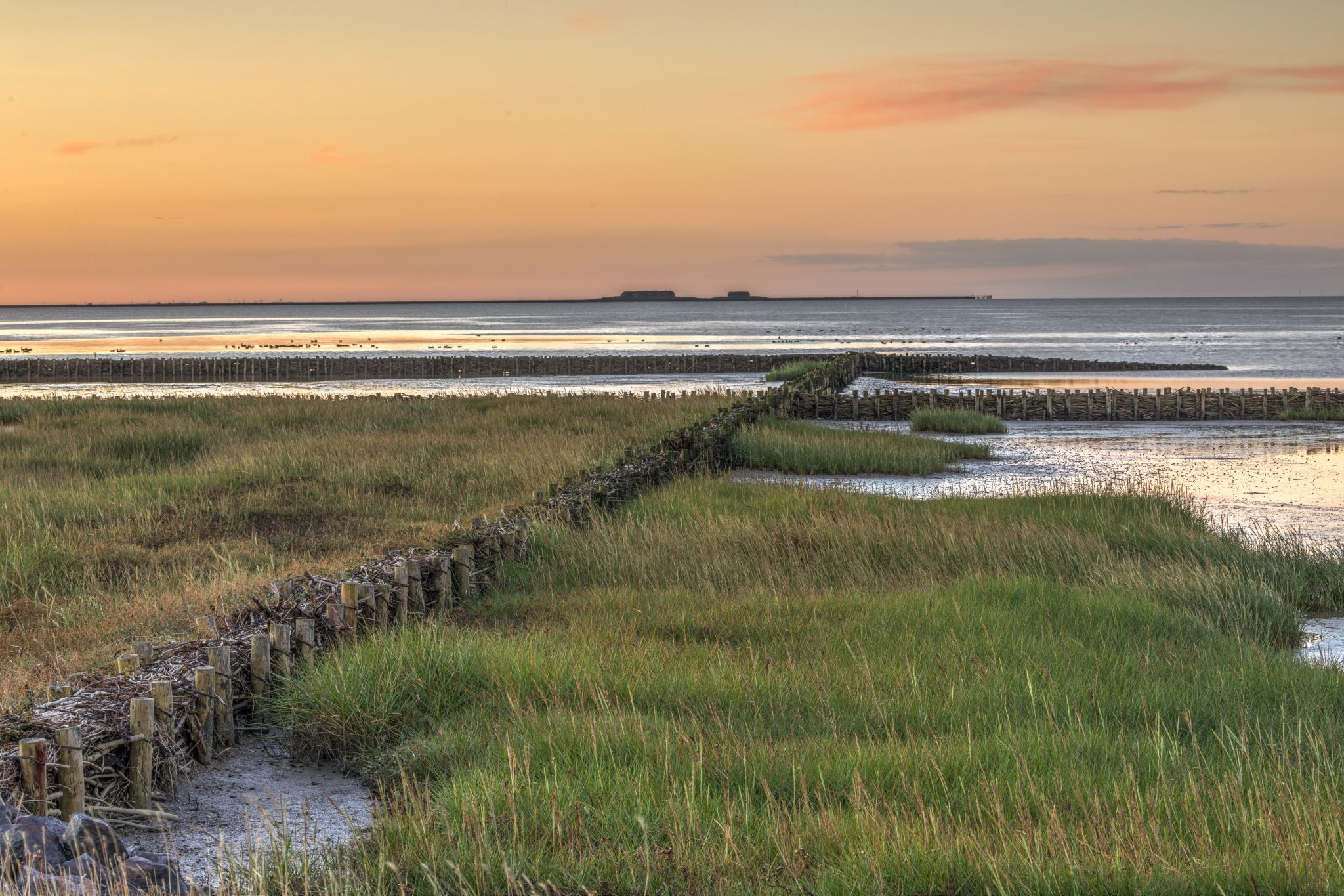 Hallig Oland, Schleswig-Holstein, Germany