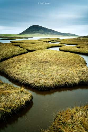 Harris Salt Marshes
