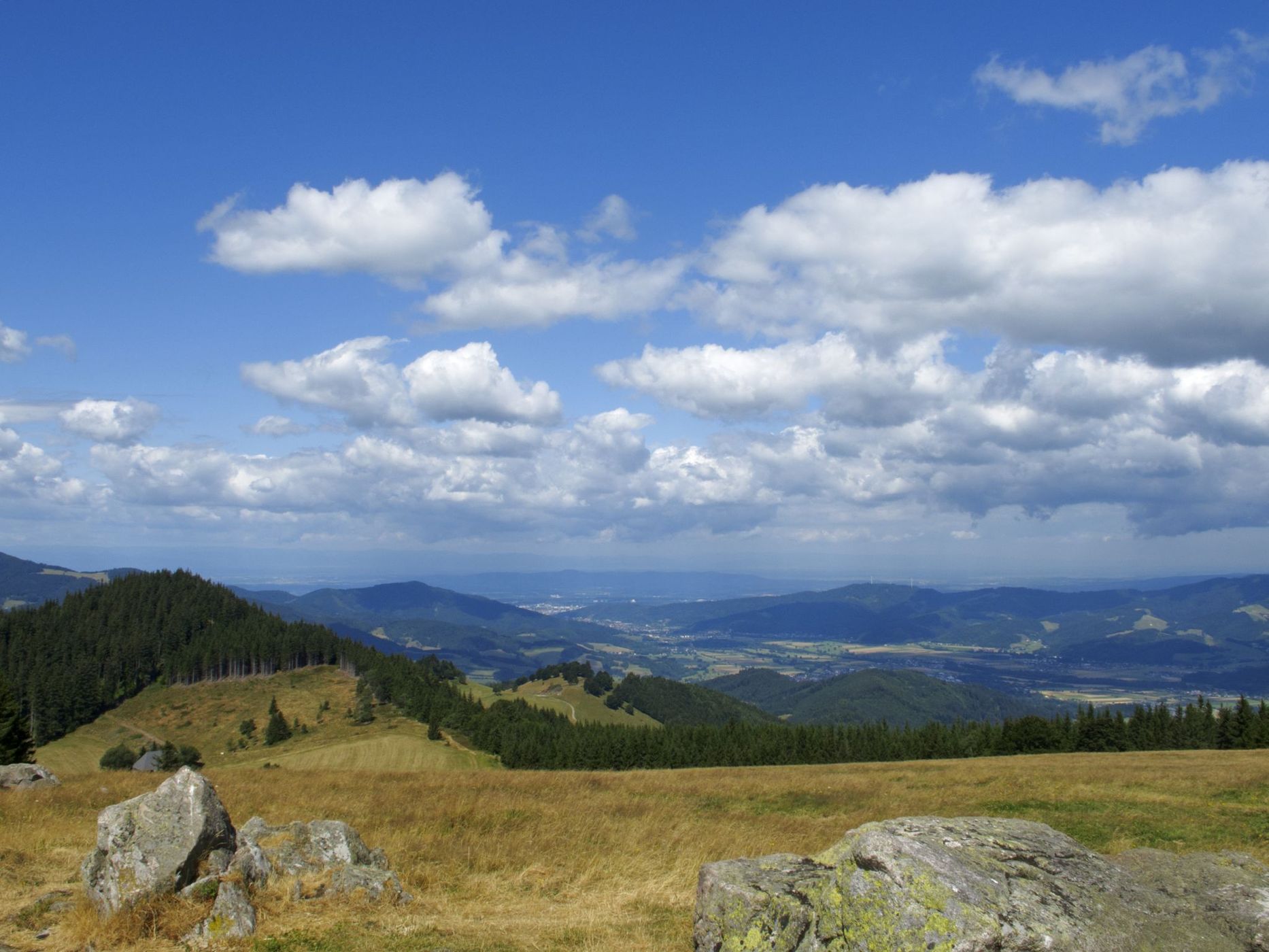 Hinterwaldkopf, Black Forest, Germany