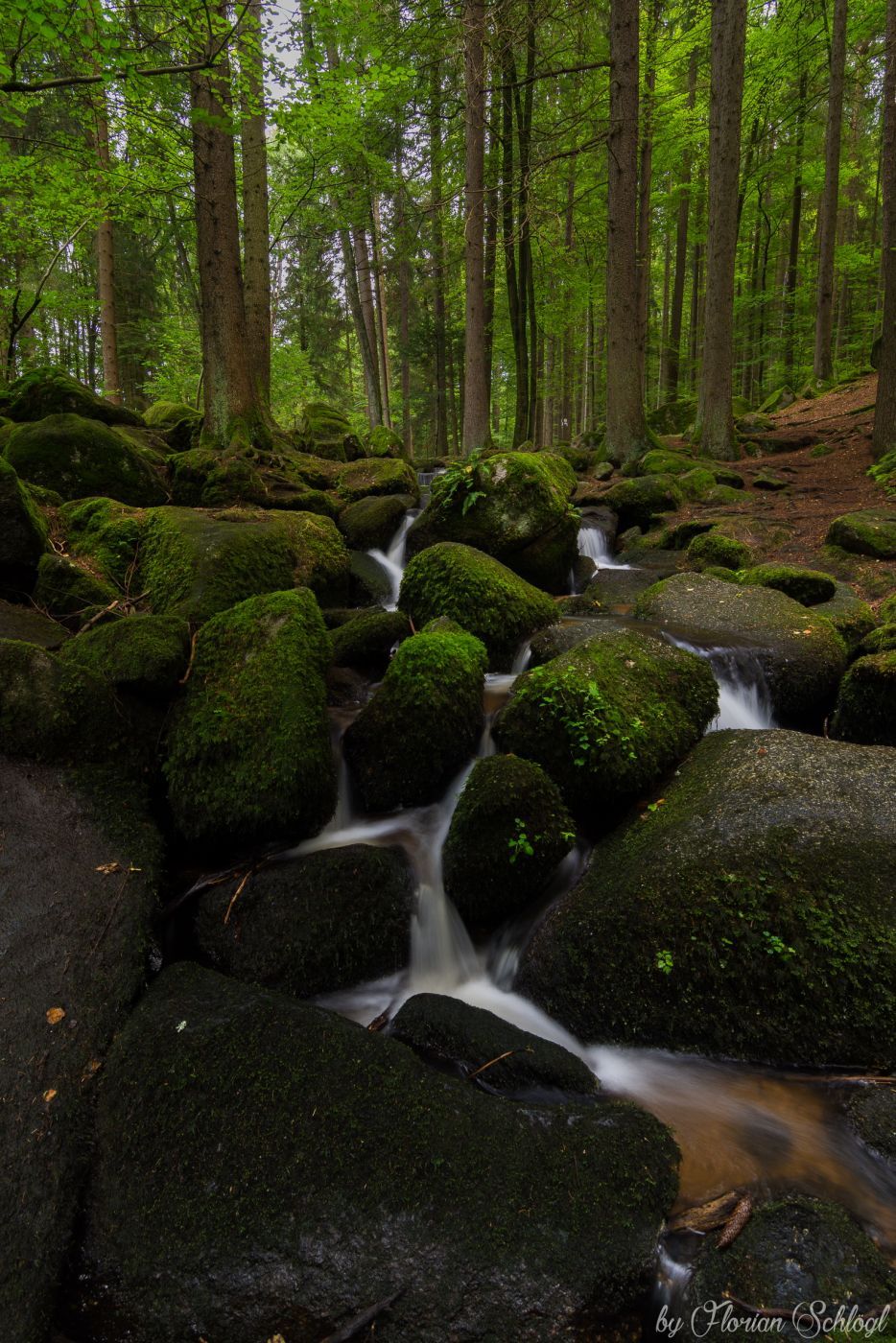 Höllbachtal, Germany