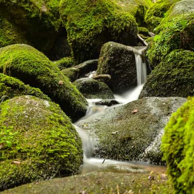 Höllbachtal, Germany