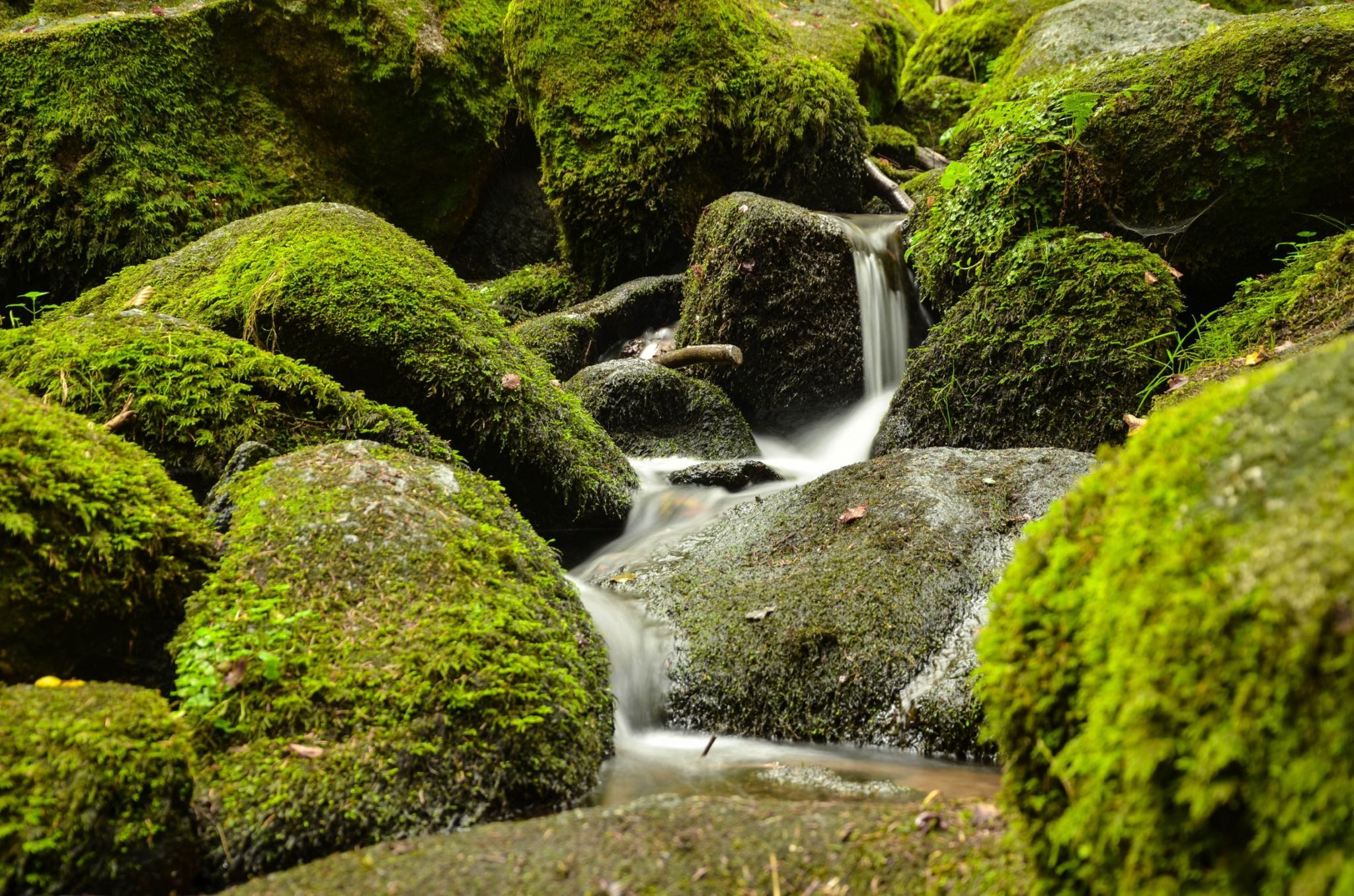 Höllbachtal, Germany
