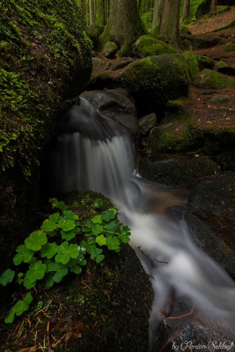 Höllbachtal, Germany