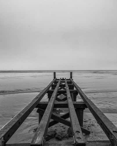 Husum Dockkoog