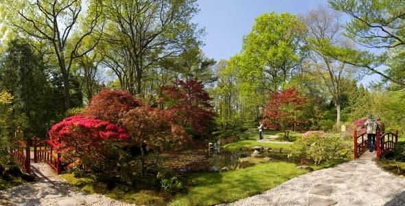 Japanese Garden in Park Clingendael, The Hague
