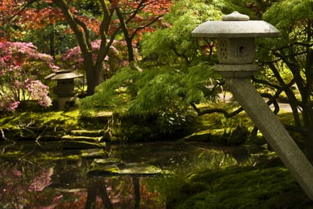 Japanese Garden in Park Clingendael, The Hague