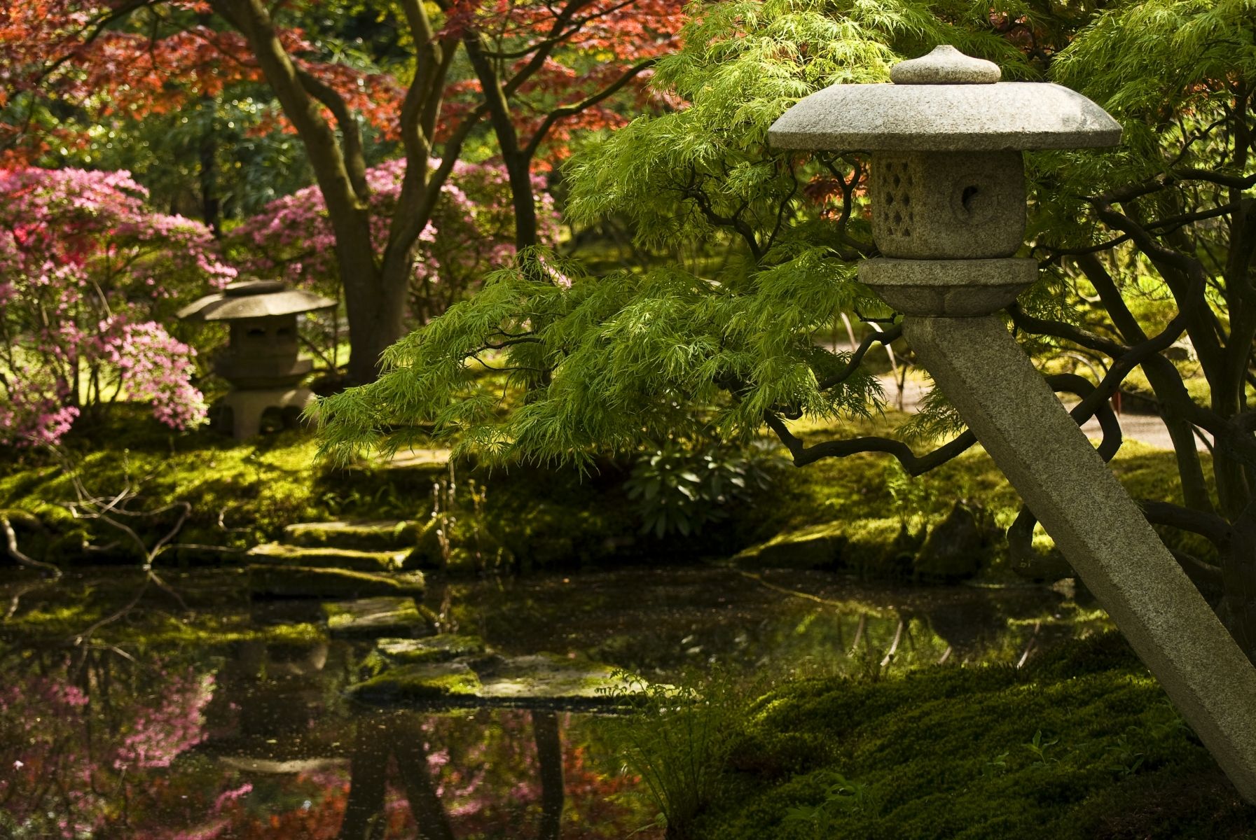 Japanese Garden in Park Clingendael, The Hague, Netherlands