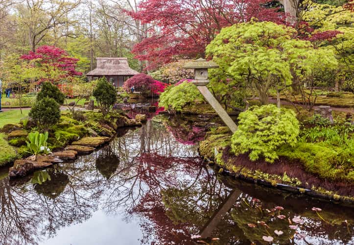 Japanese Garden The Hague