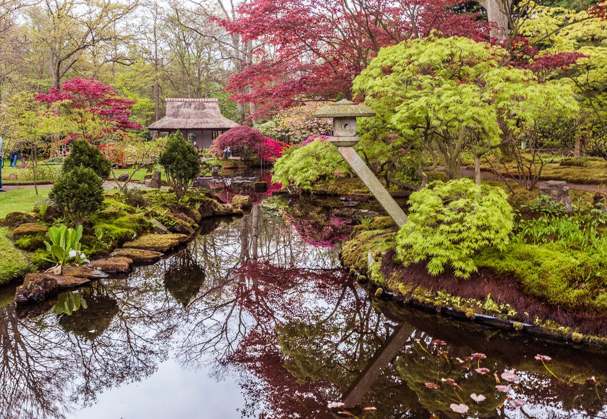Japanese Garden The Hague, Netherlands