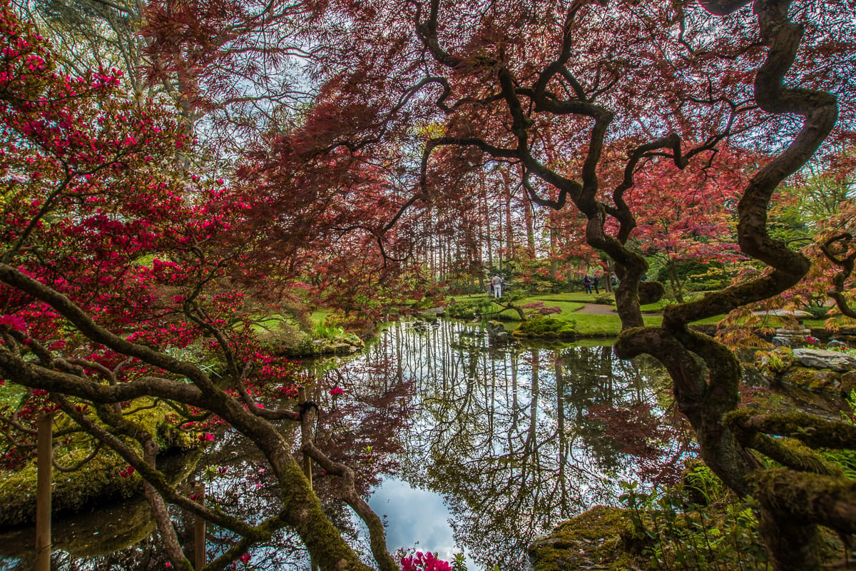 Japanese Garden The Hague, Netherlands