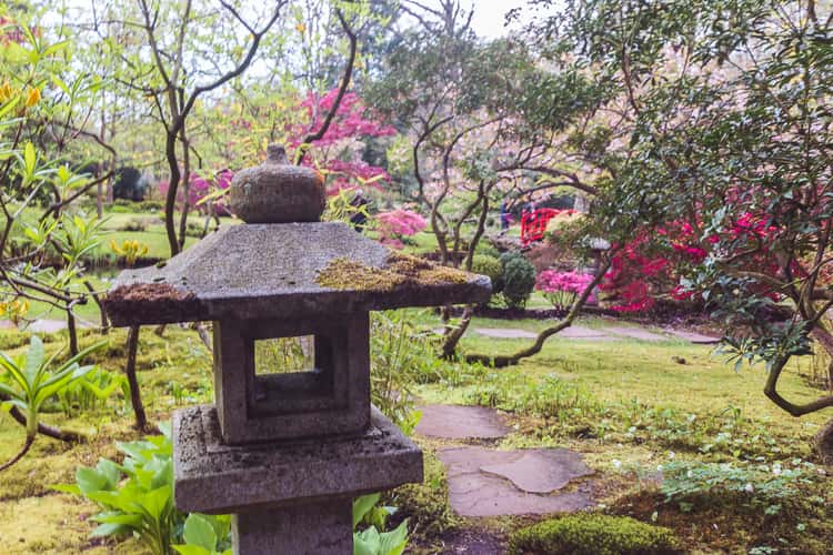 Japanese Garden The Hague