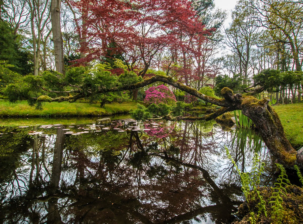 Japanese Garden The Hague, Netherlands