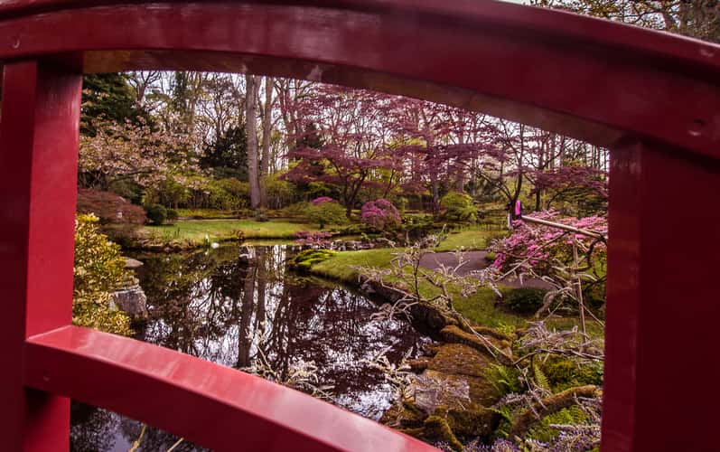 Japanese Garden The Hague