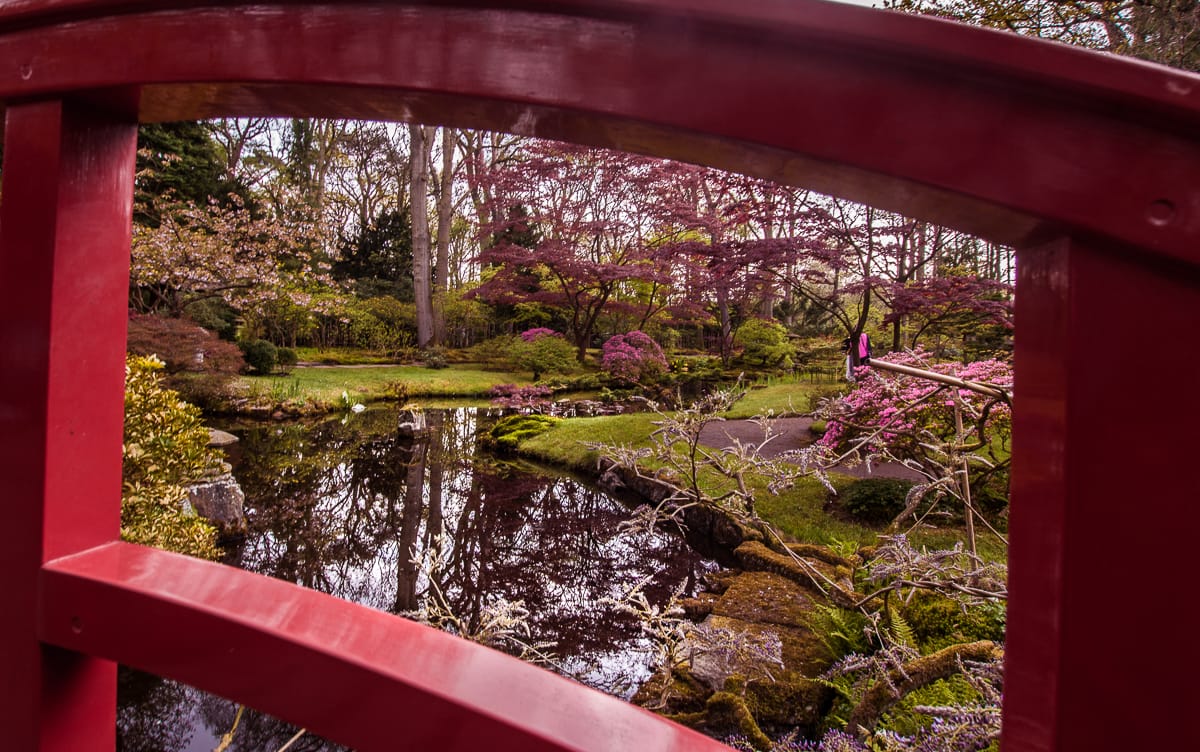 Japanese Garden The Hague, Netherlands