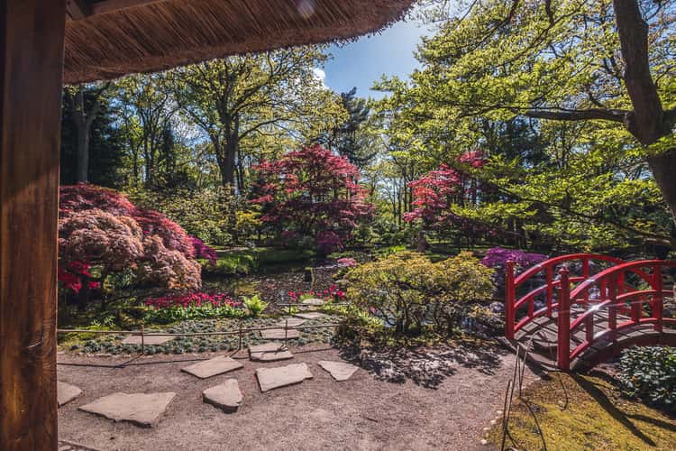 Japanese Garden The Hague