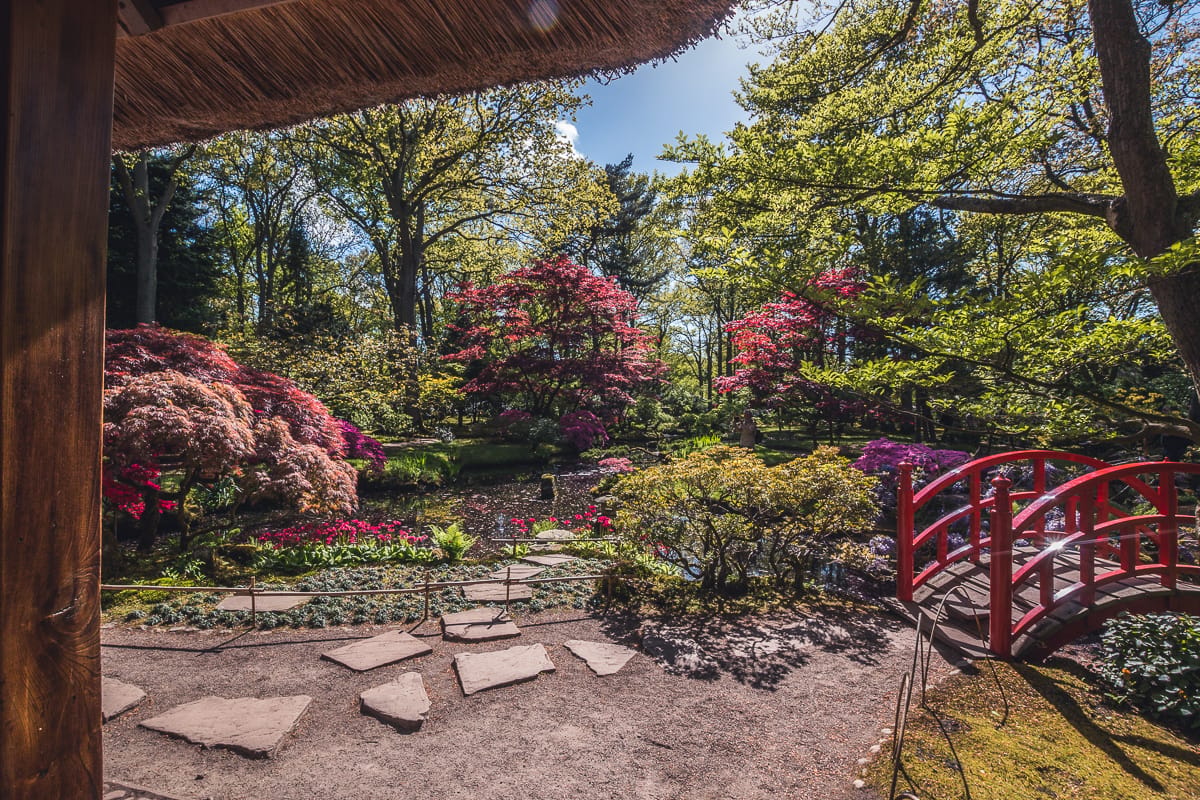 Japanese Garden The Hague, Netherlands