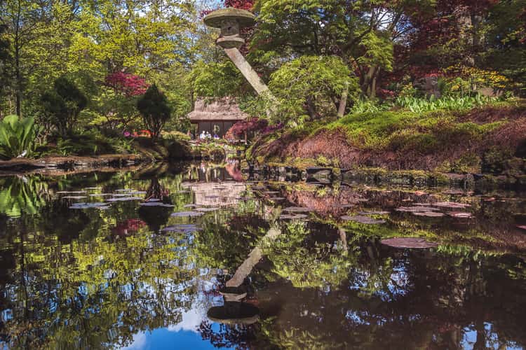 Japanese Garden The Hague