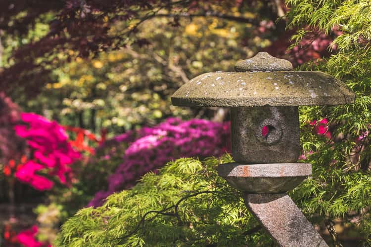 Japanese Garden The Hague