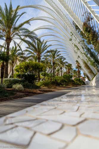 L'Umbracle