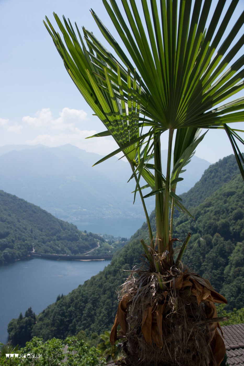 Mercoscia, Switzerland