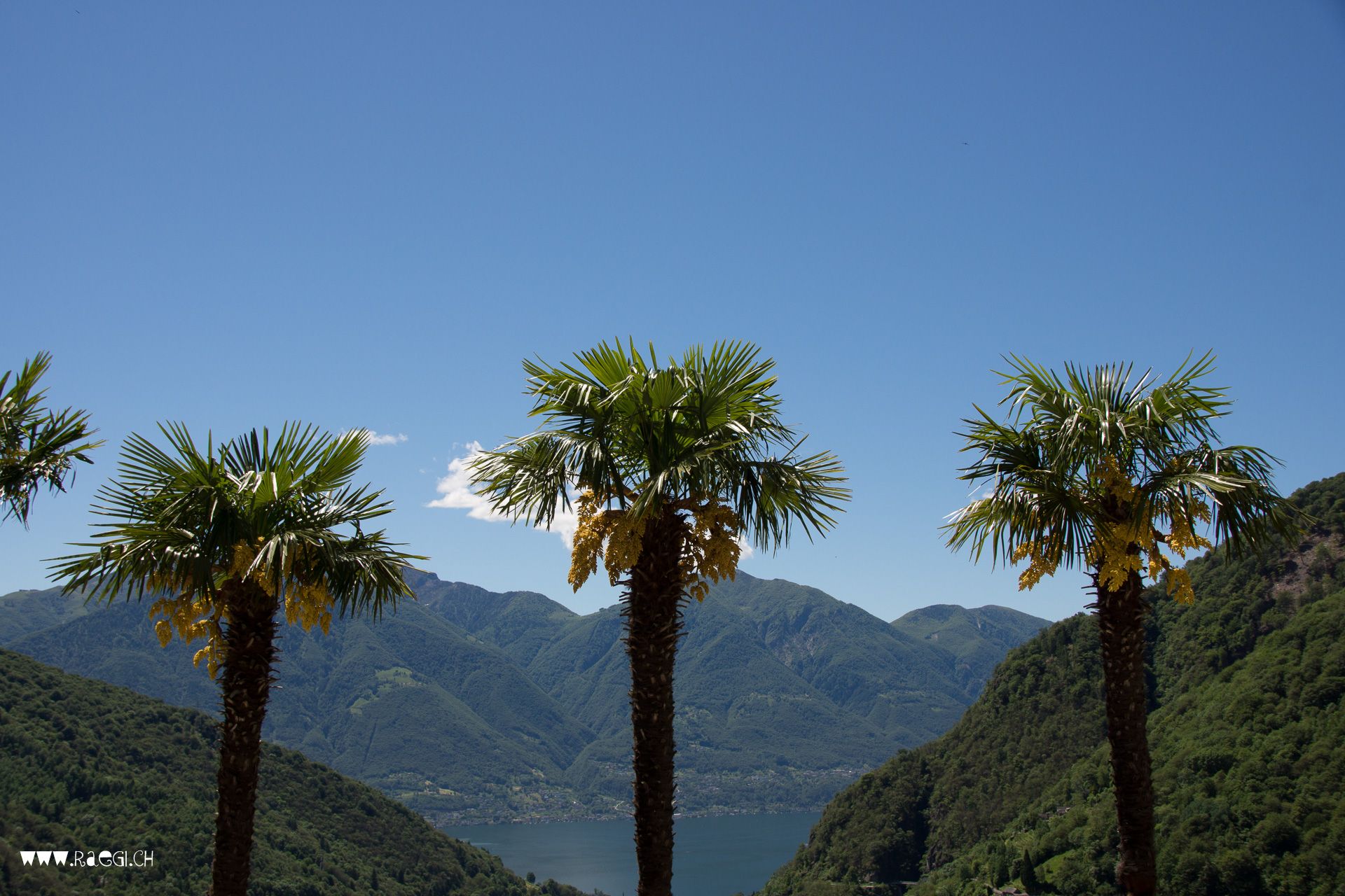 Mercoscia, Switzerland