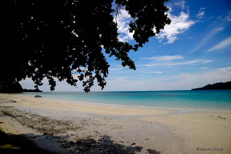 Natsepa Beach