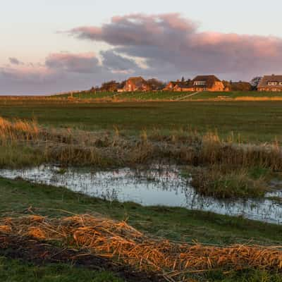 Olandwarft, Hallig Oland, Germany