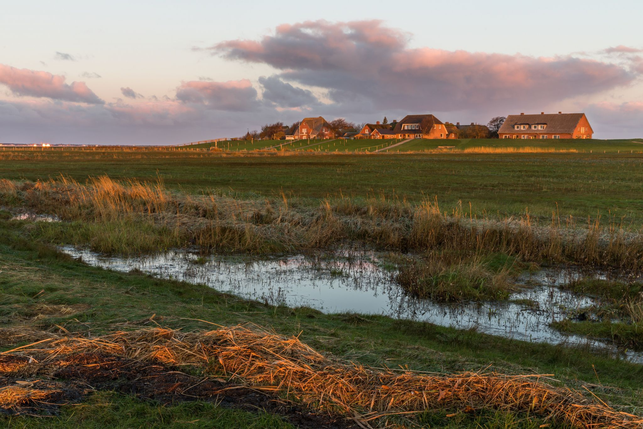 Olandwarft, Hallig Oland, Germany