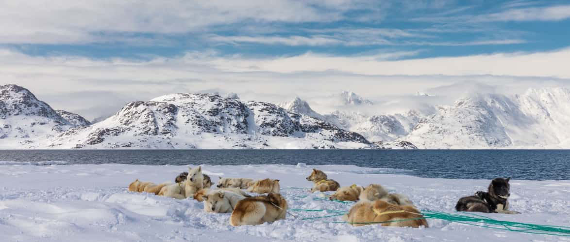 On the edge of the sea ice near Kulusuk, East Greenland