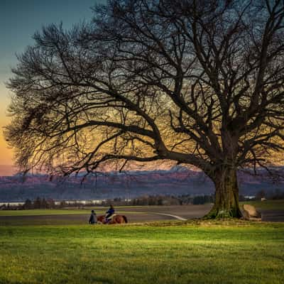 Ride to monastery, Germany