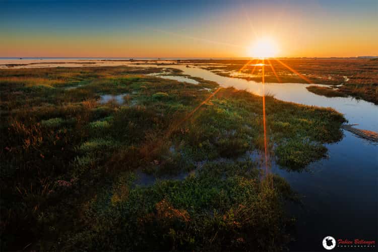 Salt Fields of Gujan Mestras
