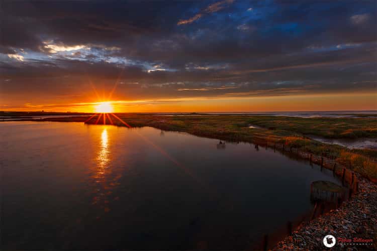 Salt Fields of Gujan Mestras