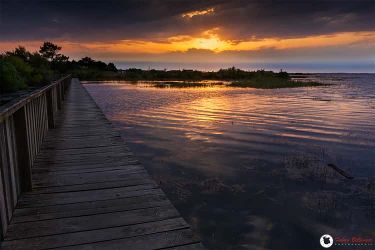 Salt Fields of Gujan Mestras