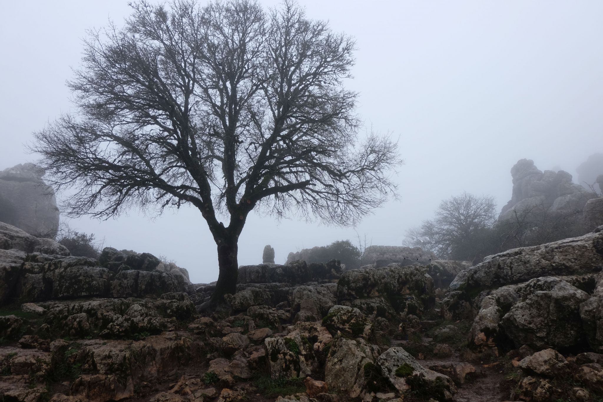 Torcal de Antequero, Spain