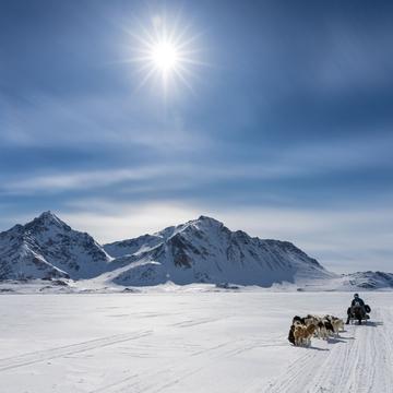 Travelling on the frozen sea ice of East Greenland, Greenland