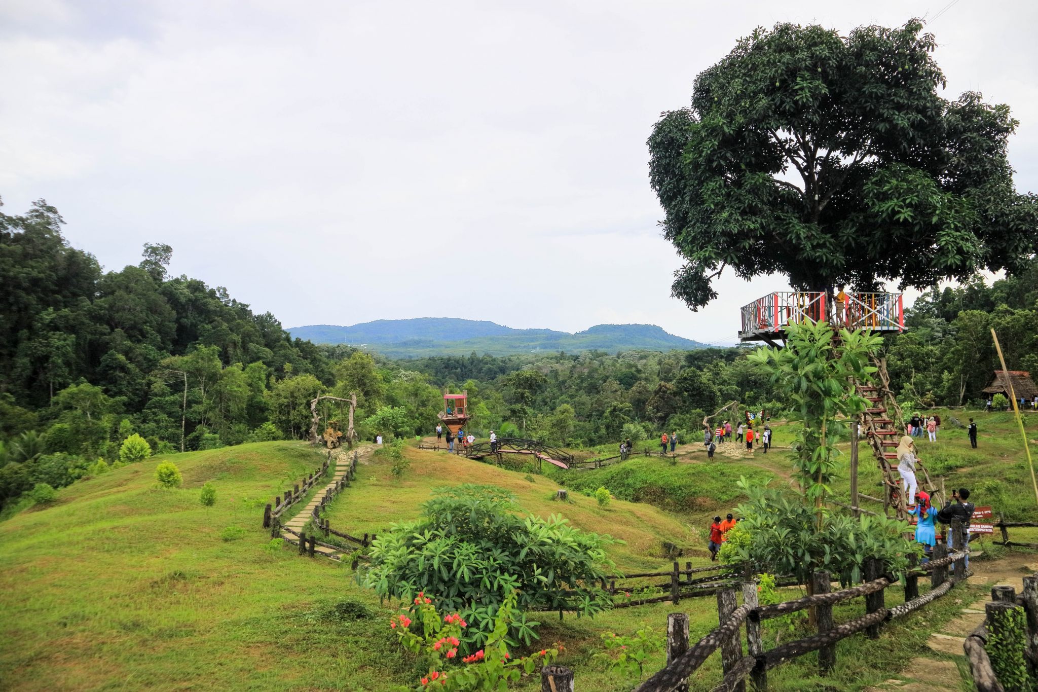 Treehouse, Indonesia